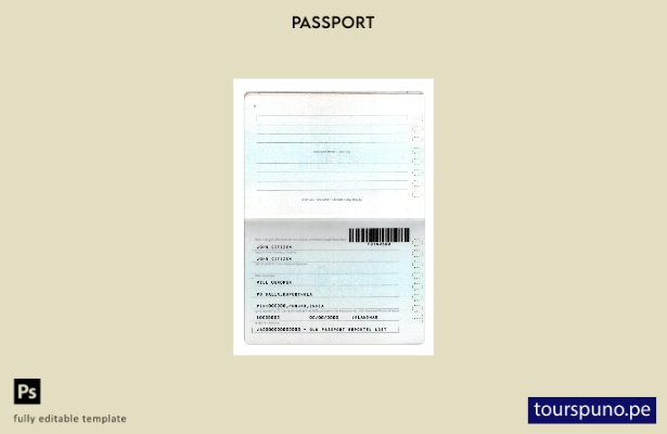 Listo para imprimir la plantilla de páginas de nueva versión del pasaporte de  1